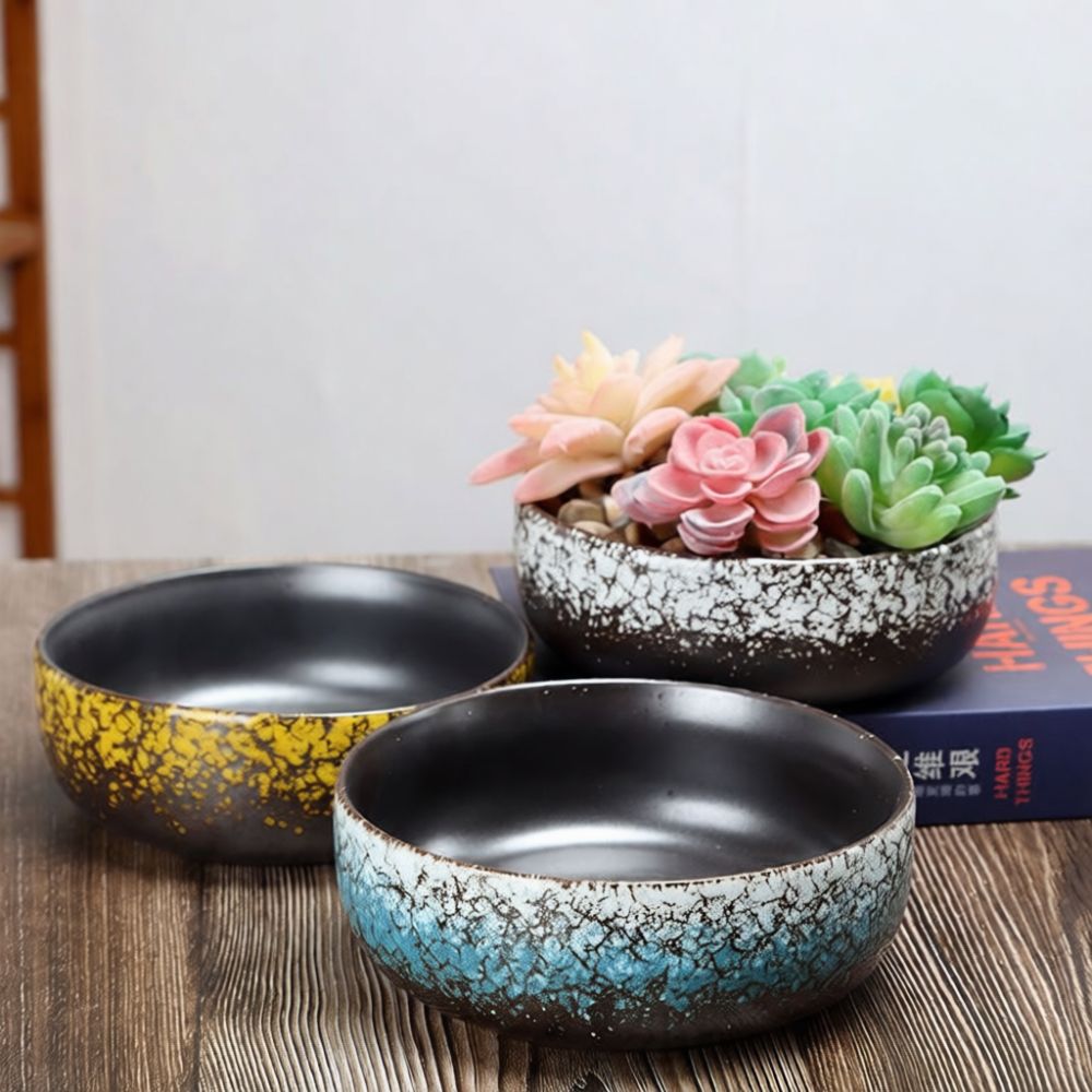 Grote keramische pot voor vetp - Bonsai Garden Art recensie en prijs