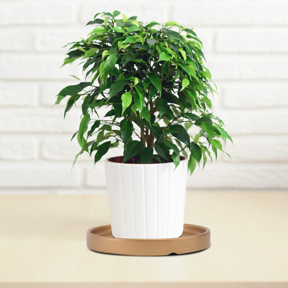 3 stuks bloempotonderzetels, k - Drip Tray Saucer recensie en prijs